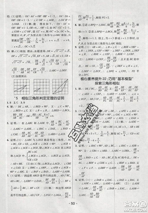 2020年同行学案学练测八年级数学下册鲁教版烟台专版答案 2020年同行学案学练测八年级数学下册鲁教版烟台专版答案