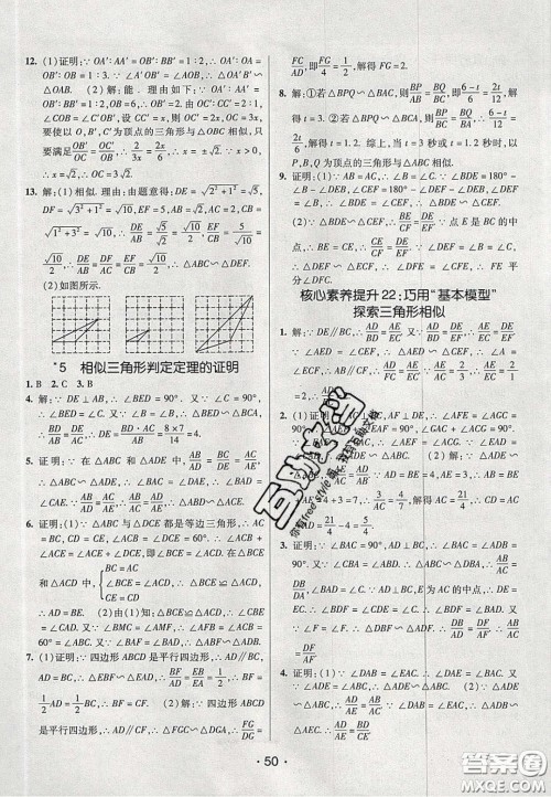 2020年同行学案学练测八年级数学下册鲁教版烟台专版答案