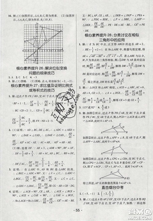 2020年同行学案学练测八年级数学下册鲁教版烟台专版答案