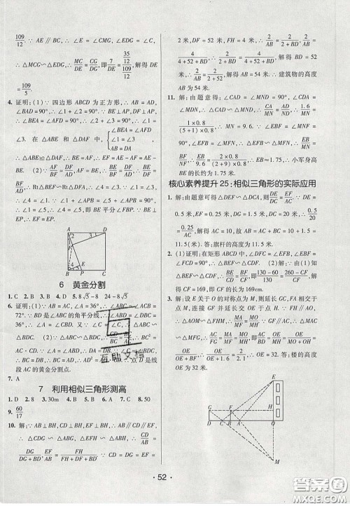 2020年同行学案学练测八年级数学下册鲁教版烟台专版答案