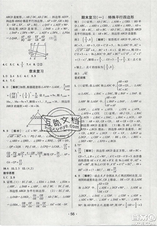 2020年同行学案学练测八年级数学下册鲁教版烟台专版答案