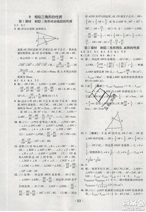 2020年同行学案学练测八年级数学下册鲁教版烟台专版答案