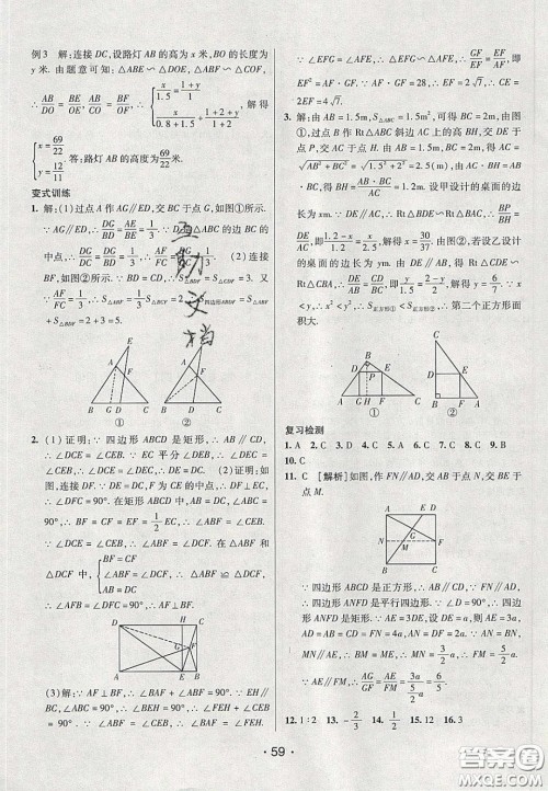 2020年同行学案学练测八年级数学下册鲁教版烟台专版答案