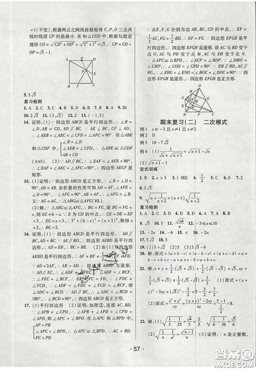 2020年同行学案学练测八年级数学下册鲁教版烟台专版答案