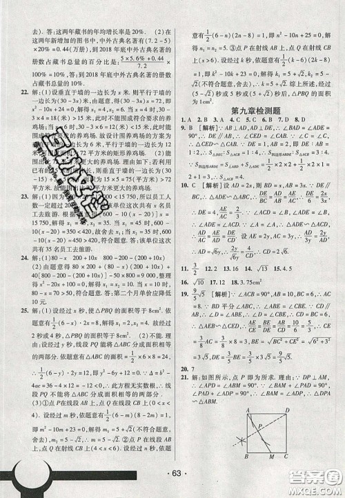 2020年同行学案学练测八年级数学下册鲁教版烟台专版答案 2020年同行学案学练测八年级数学下册鲁教版烟台专版答案
