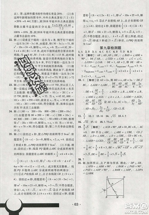 2020年同行学案学练测八年级数学下册鲁教版烟台专版答案