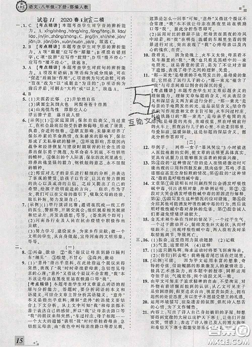 2020年王朝霞各地期末试卷精选八年级语文下册人教版河南专版答案