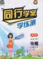 2020年同行学案学练测八年级物理下册人教版答案