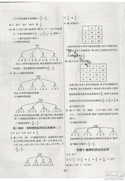 2020年同行学案学练测九年级数学下册青岛版答案