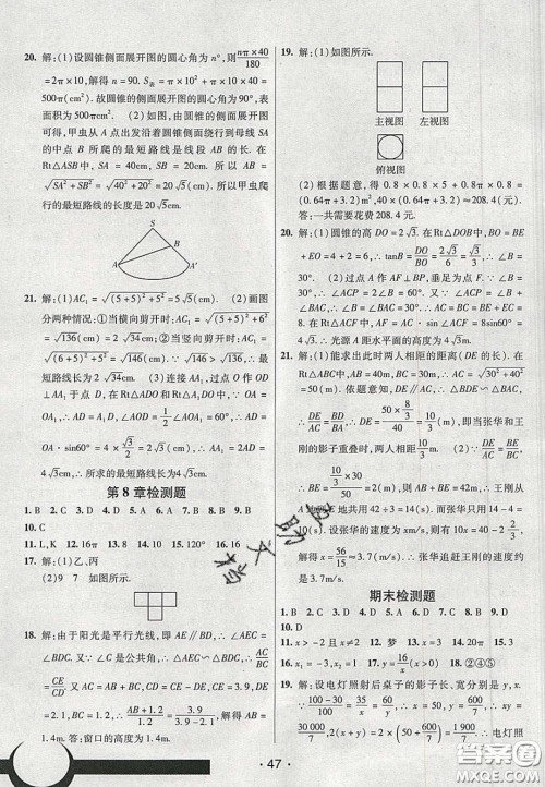 2020年同行学案学练测九年级数学下册青岛版答案