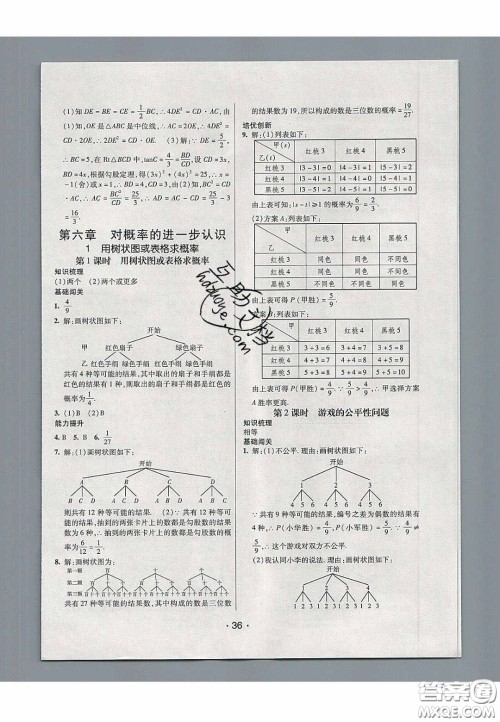 2020年同行学案学练测九年级数学下册鲁教版烟台专版答案