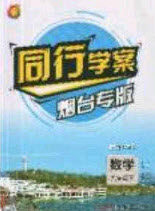 2020年同行学案学练测九年级数学下册鲁教版烟台专版答案