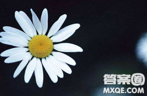 四川2020高考二诊理科450分能上什么学校 2020四川高考二诊理科450分能上什么学校 四川2020高考二诊理科450分能上什么学校 2020四川高考二诊理科450分能上什么学校