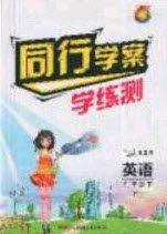 2020年同行学案学练测九年级英语下册人教版答案