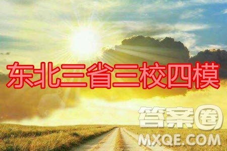 2020年东北三省三校四模理科数学试题及答案 2020年东北三省三校四模理科数学试题及答案