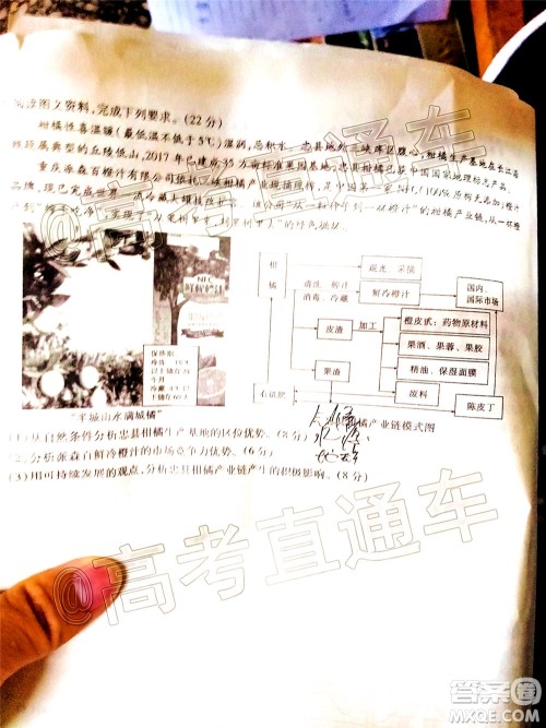 2020年重庆南开中学6月高考模拟考试文科综合试题及答案 2020年重庆南开中学6月高考模拟考试文科综合试题及答案