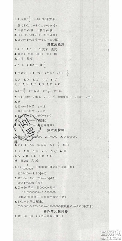 2020开心一卷通全优大考卷六年级数学下册苏教版答案 2020开心一卷通全优大考卷六年级数学下册苏教版答案