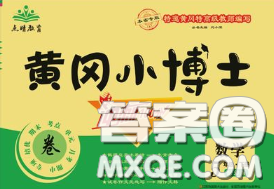 2020年黄冈小博士冲刺100分五年级数学下册人教版答案