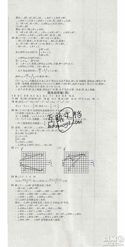 2020开心一卷通全优大考卷七年级数学下册北师大版答案