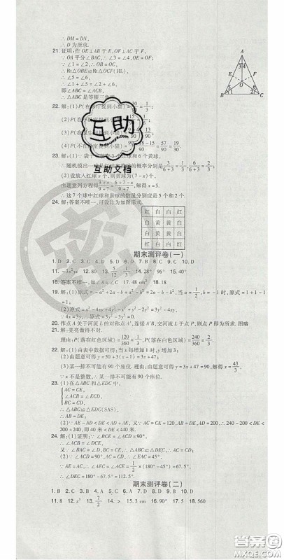 2020开心一卷通全优大考卷七年级数学下册北师大版答案