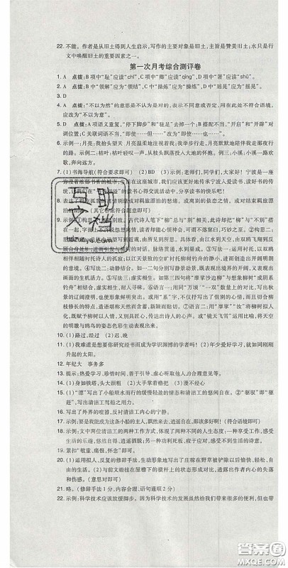 2020开心一卷通全优大考卷七年级语文下册人教版答案