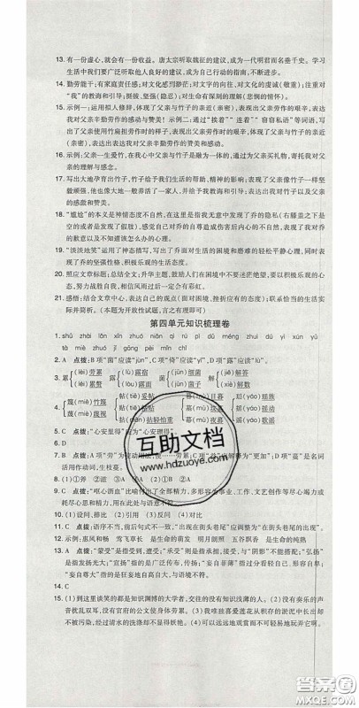 2020开心一卷通全优大考卷七年级语文下册人教版答案