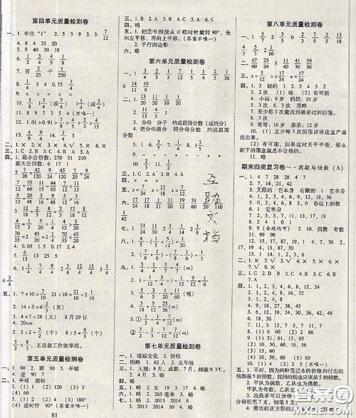 2020年云南师大附小一线名师核心试卷五年级数学下册人教版答案 2020年云南师大附小一线名师核心试卷五年级数学下册人教版答案
