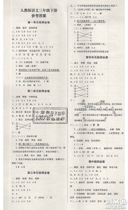 2020年云南师大附小一线名师金牌试卷三年级语文下册人教版答案