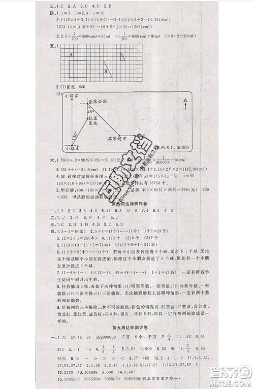 南方出版社2020状元大考卷六年级数学下册人教版答案 南方出版社2020状元大考卷六年级数学下册人教版答案