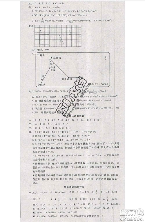 南方出版社2020状元大考卷六年级数学下册人教版答案