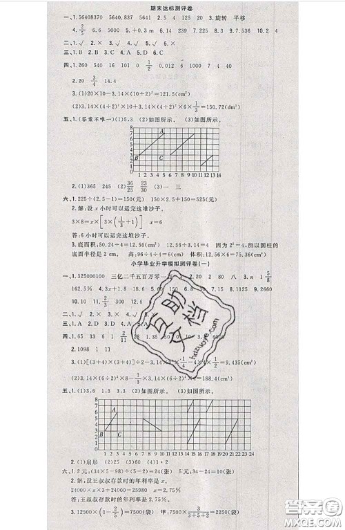 南方出版社2020状元大考卷六年级数学下册人教版答案