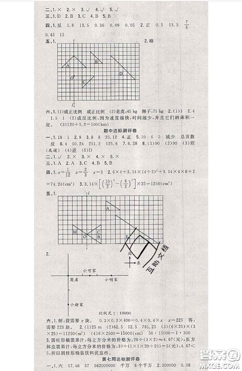 南方出版社2020状元大考卷六年级数学下册北师版答案