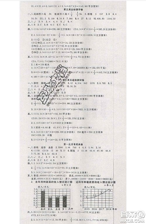 南方出版社2020状元大考卷六年级数学下册苏教版答案