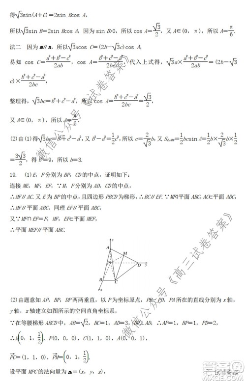 2020年山东省新高考预测卷数学试题及答案