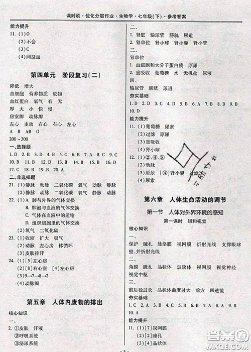 2020年课时刷优化分层作业七年级生物下册人教版答案 2020年课时刷优化分层作业七年级生物下册人教版答案