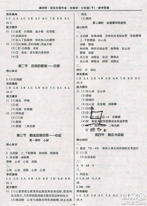 2020年课时刷优化分层作业七年级生物下册人教版答案 2020年课时刷优化分层作业七年级生物下册人教版答案