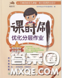 2020年课时刷优化分层作业八年级历史下册人教版答案