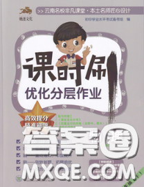 2020年课时刷优化分层作业八年级物理下册沪科版答案 2020年课时刷优化分层作业八年级物理下册沪科版答案