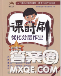 2020年课时刷优化分层作业八年级道德与法治下册人教版答案