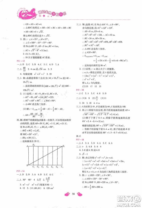 河北少年儿童出版社2020世超金典暑假乐园八年级数学答案