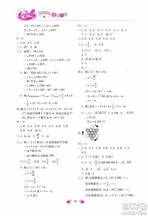 河北少年儿童出版社2020世超金典暑假乐园七年级数学答案