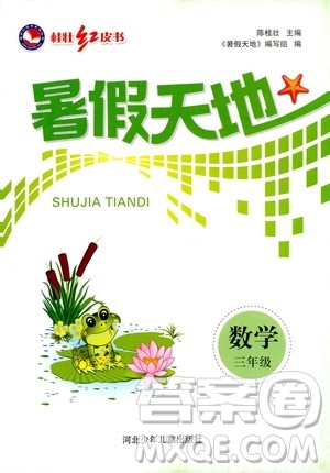桂壮红皮书2020年暑假天地数学三年级人教版参考答案 桂壮红皮书2020年暑假天地数学三年级人教版参考答案