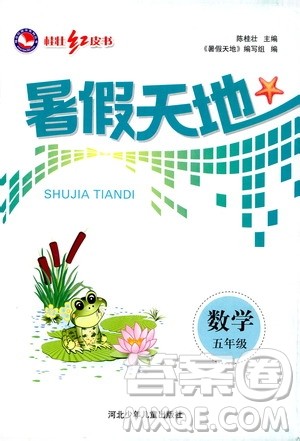 桂壮红皮书2020年暑假天地数学五年级人教版参考答案
