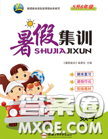 2020年暑假集训小升初衔接教材五年级数学人教版答案