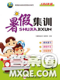 2020年暑假集训小升初衔接教材五年级数学苏教版答案