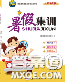 2020年暑假集训小升初衔接教材四年级英语人教版答案 2020年暑假集训小升初衔接教材四年级英语人教版答案