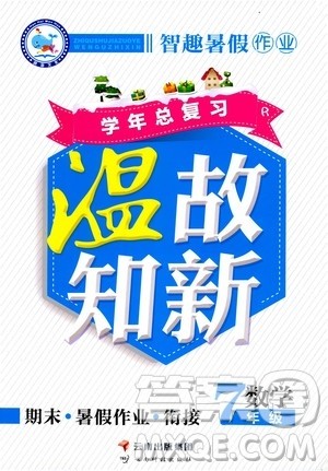 2020年智趣暑假作业学年总复习温故知新数学七年级人教版参考答案