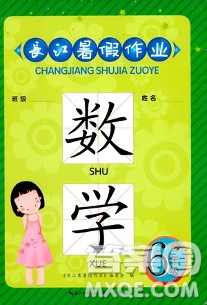 崇文书局2020年长江暑假作业数学6年级参考答案