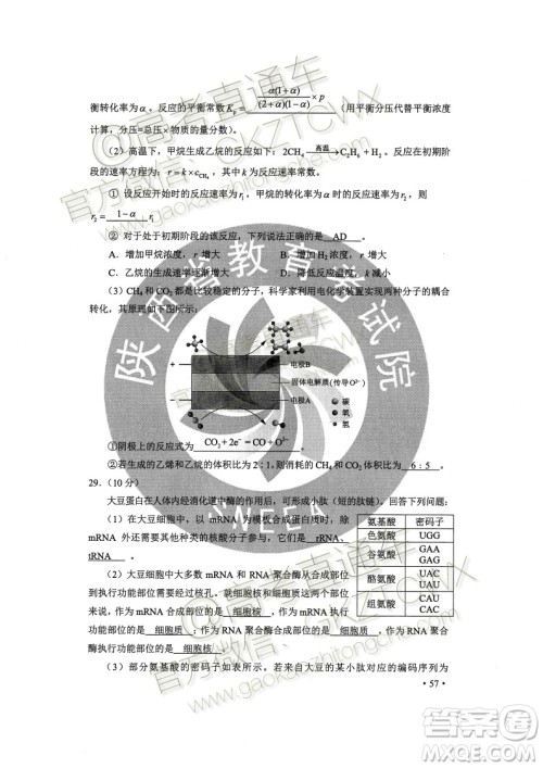 2020年全国高考真题全国II卷理科综合能力测试试题及答案 2020年全国高考真题全国II卷理科综合能力测试试题及答案