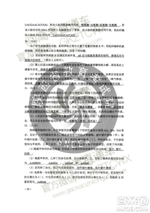 2020年全国高考真题全国II卷理科综合能力测试试题及答案 2020年全国高考真题全国II卷理科综合能力测试试题及答案